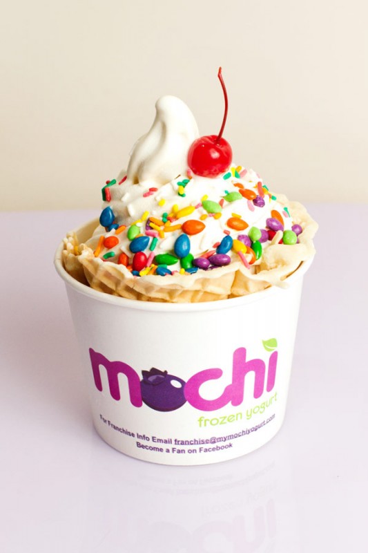 Mochi Frozen Yogurt offers assorted cold desserts, large variety of toppings with calories that are as low as the prices. There are three Gainesville locations: 1638 W University Ave, Gainesville, FL 32603 3841 SW Archer Rd, Gainesville, FL 32608 202 SE 2nd Ave, Gainesville, FL 32601 Photo courtesy of Eric Heikkinen.